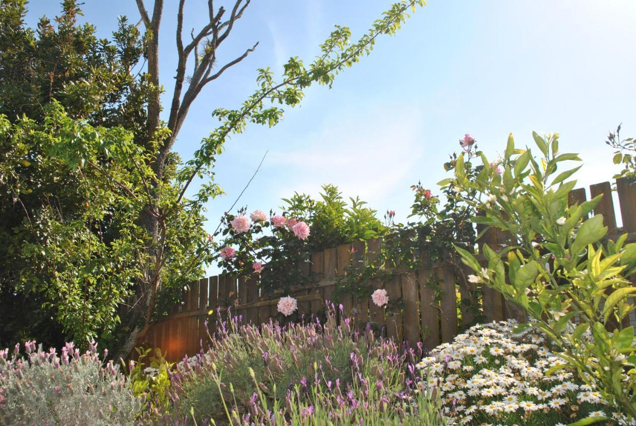 Wai O Taiki Bay B&B Auckland Exterior foto